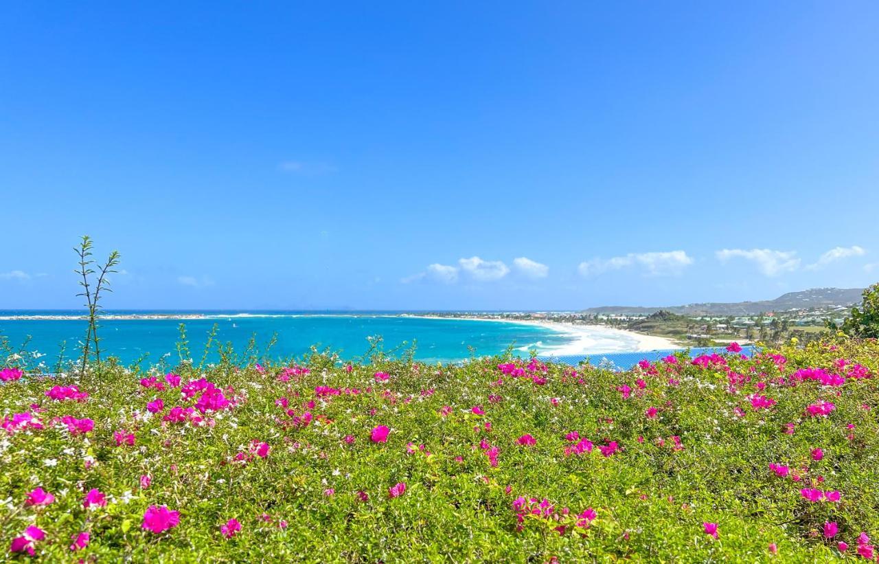 Front Line Unit 520 Ft2 - 48 M2, On Second Floor, Stunning Ocean View Apartment Cul de Sac Exterior photo